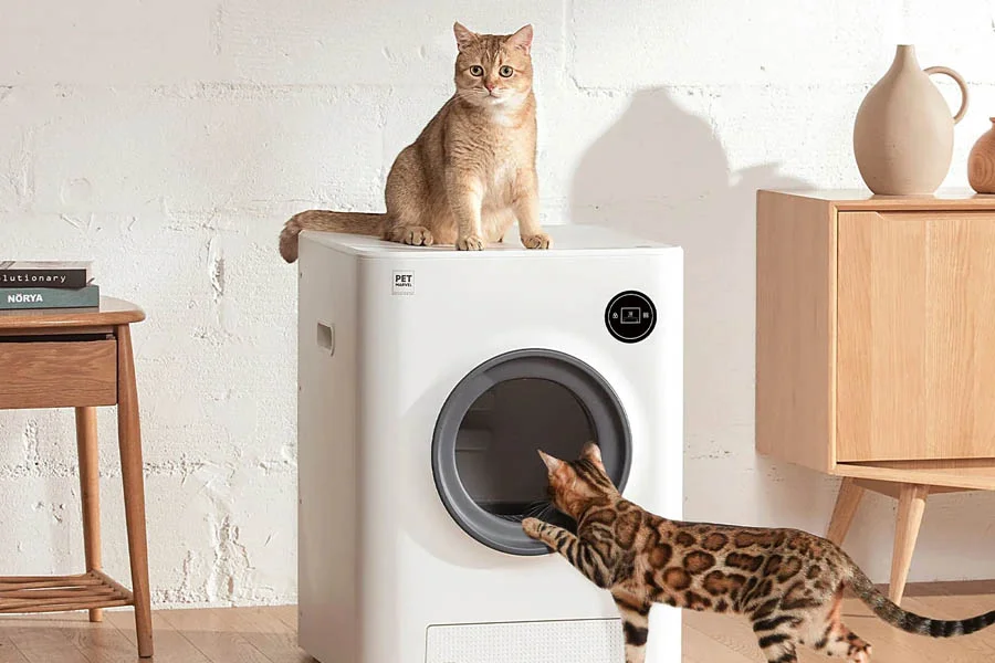 electronic cat litter