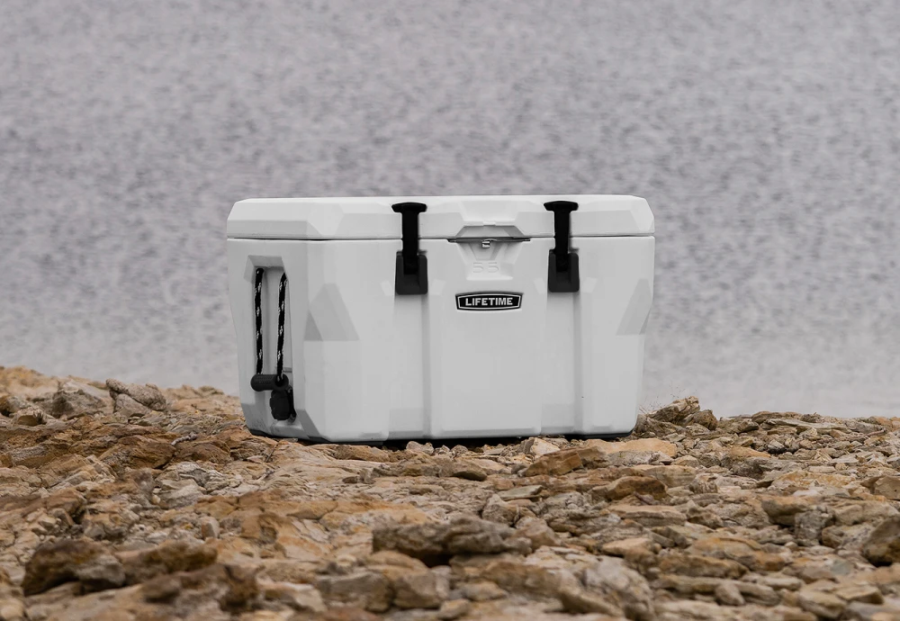 outdoor soda cooler