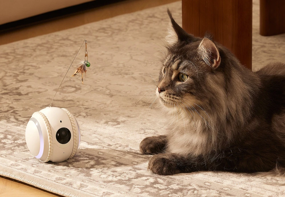 best pet camera for dogs